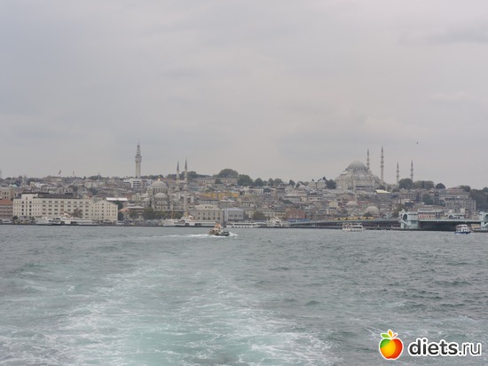 246 ����: ������, �������