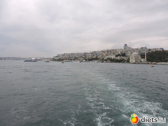 254 ����: ������, �������