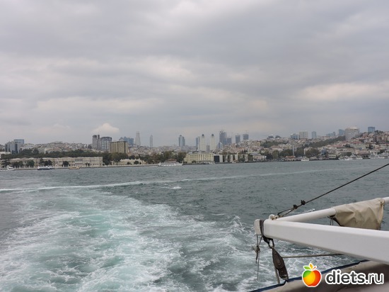263 ����: ������, �������