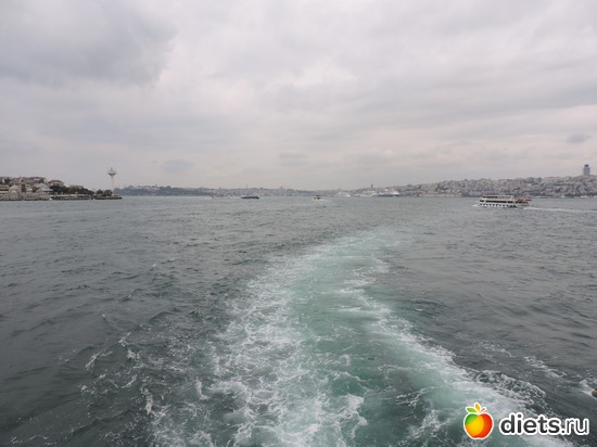 271 ����: ������, �������