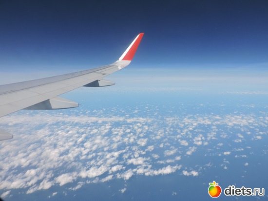 23 ����: ������, �������