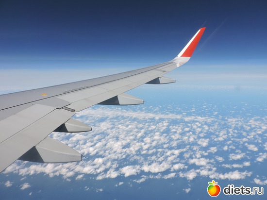 24 ����: ������, �������