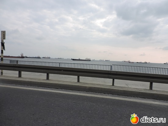 31 ����: ������, �������