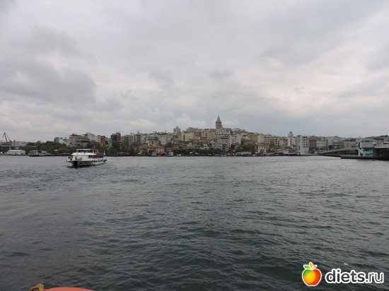 216 ����: ������, �������