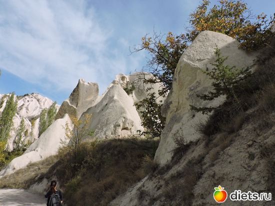 124 ����: ���������, ������