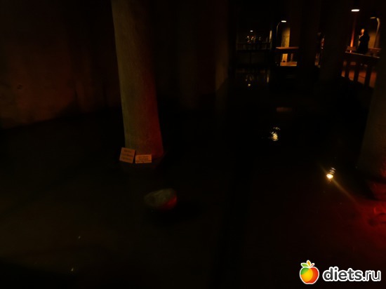 488 ����: ������, �������