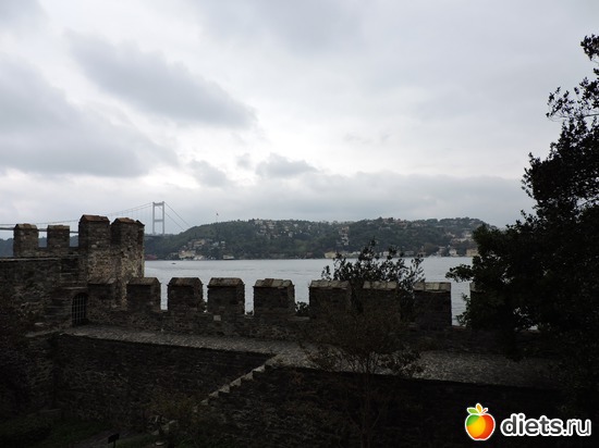 711 ����: ������, �������