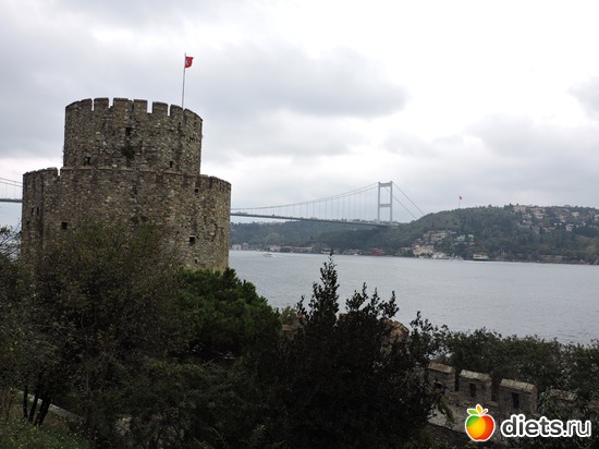 714 ����: ������, �������
