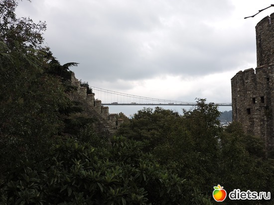 716 ����: ������, �������