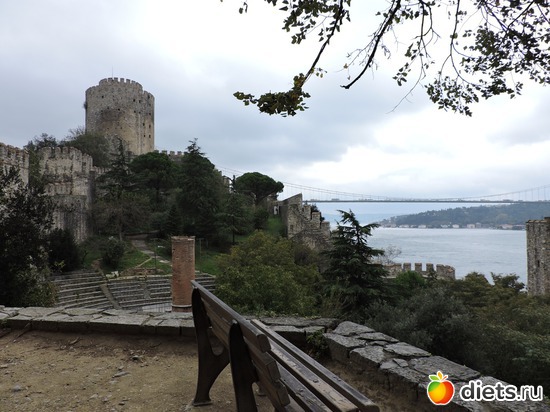 721 ����: ������, �������