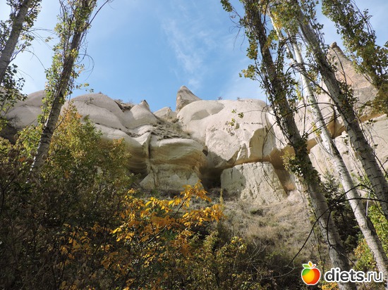 161 ����: ���������, ������