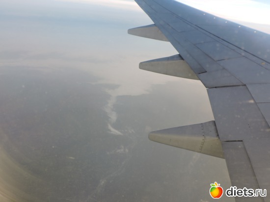 26 ����: ���������, ������