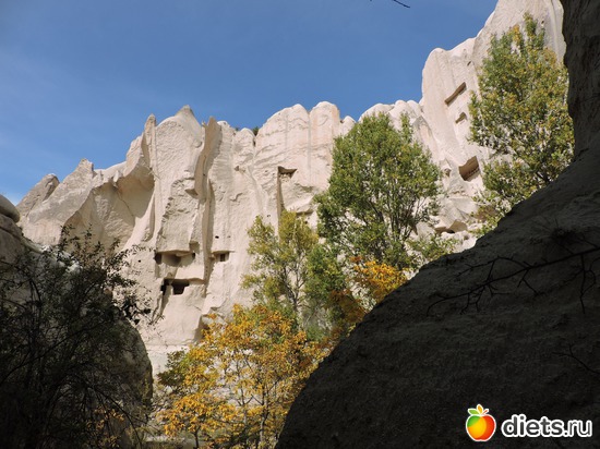 174 ����: ���������, ������