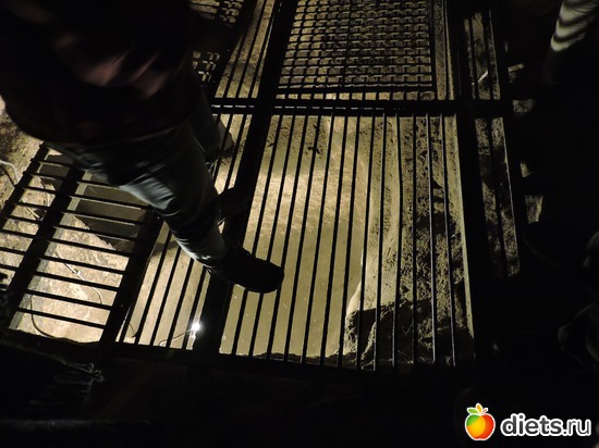76 ����: ���������, ������