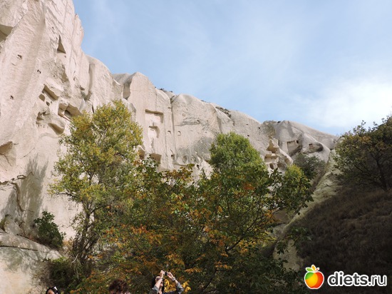181 ����: ���������, ������