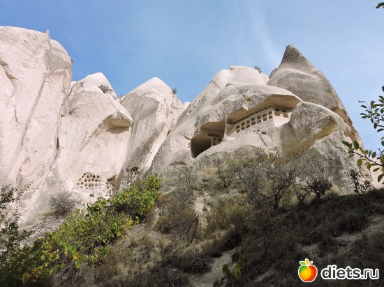 183 ����: ���������, ������