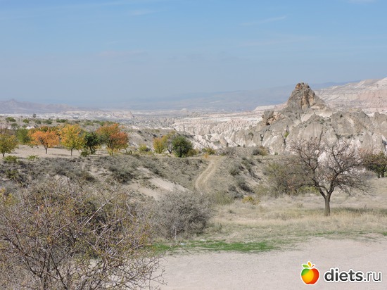 111 ����: ���������, ������