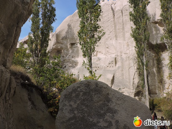 198 ����: ���������, ������