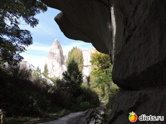 202 ����: ���������, ������