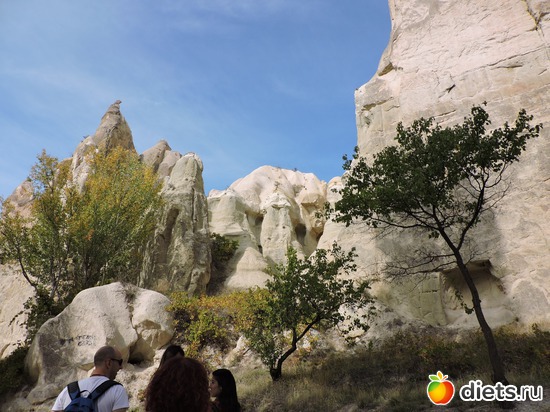 207 ����: ���������, ������