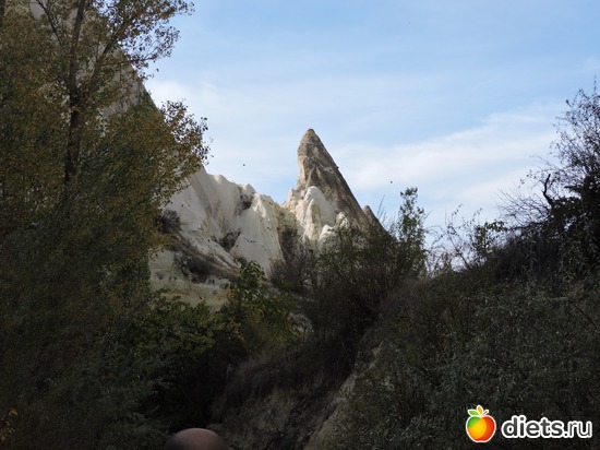 208 ����: ���������, ������