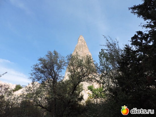 209 ����: ���������, ������
