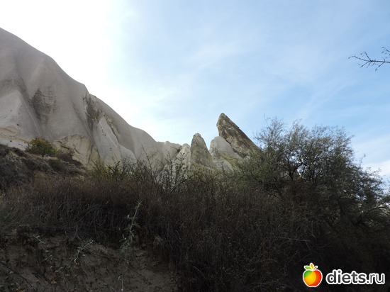 210 ����: ���������, ������
