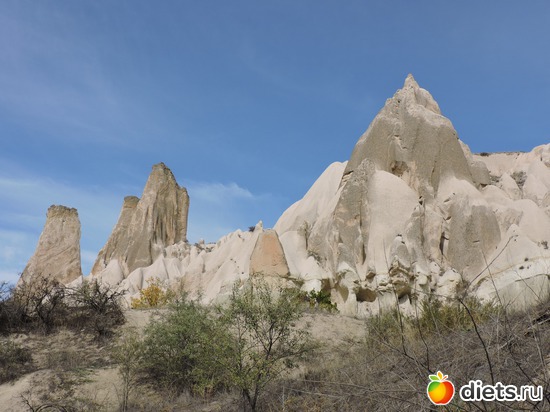 212 ����: ���������, ������