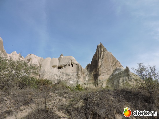 213 ����: ���������, ������