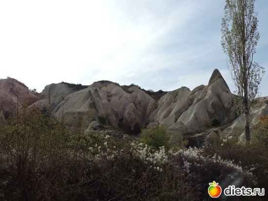 217 ����: ���������, ������