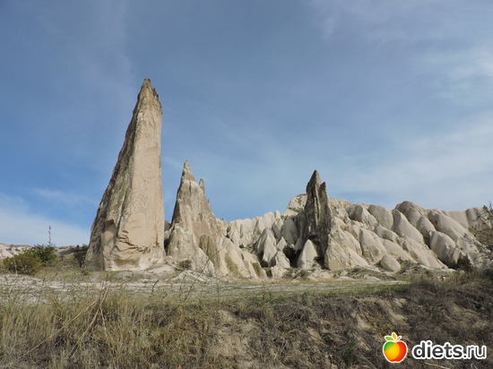 218 ����: ���������, ������