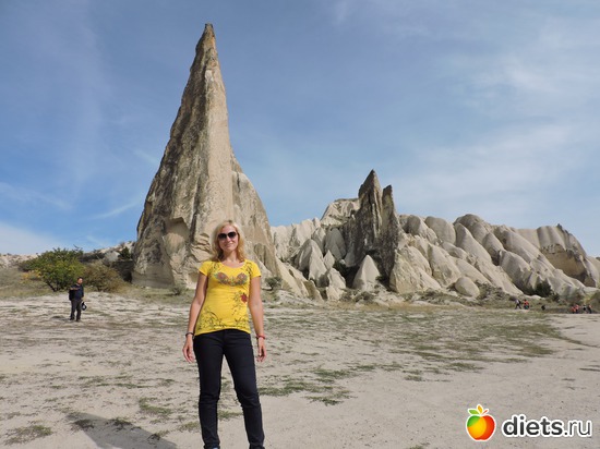 219 ����: ���������, ������