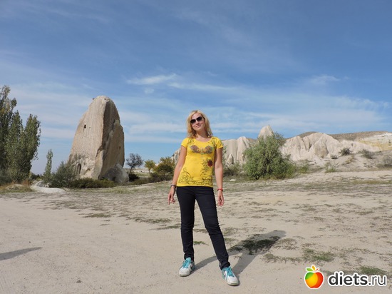 220 ����: ���������, ������