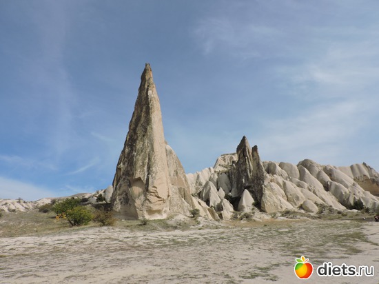 222 ����: ���������, ������