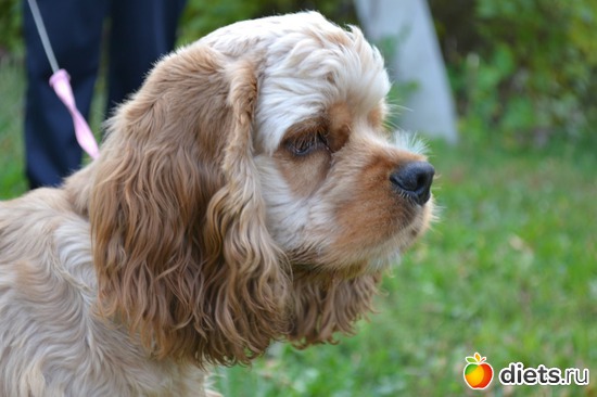 16 фото: Верный способ похудеть!