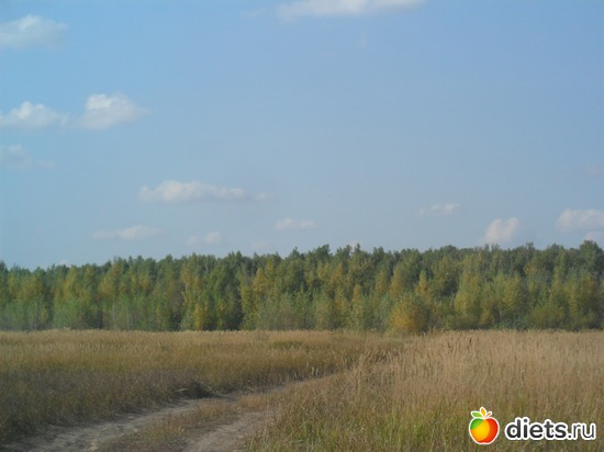 1 ����: ����� 2014