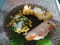 21 ���� - ����