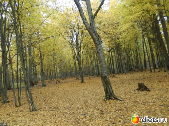 3 ����: �����