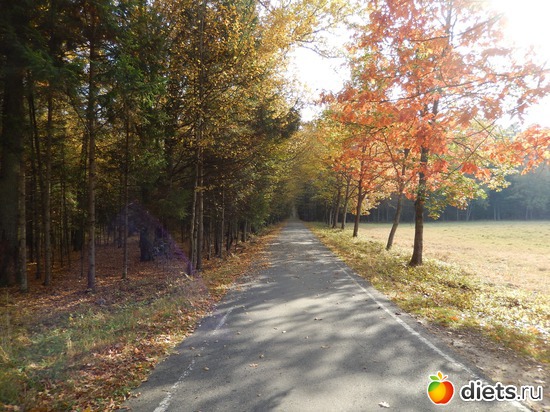 4 ����: �����