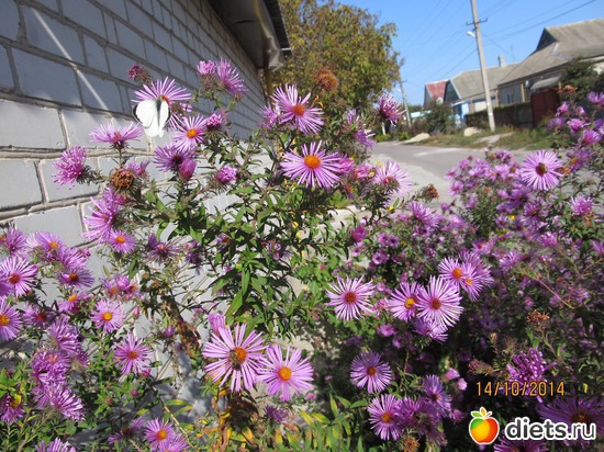 107 ����: �����-����-����� 2013 - 2015