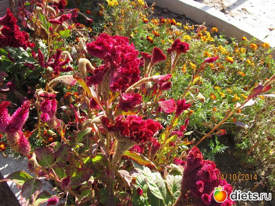 108 ����: �����-����-����� 2013 - 2015