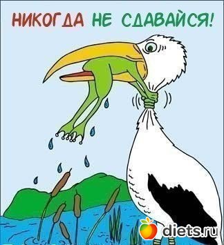 ��� ���������
