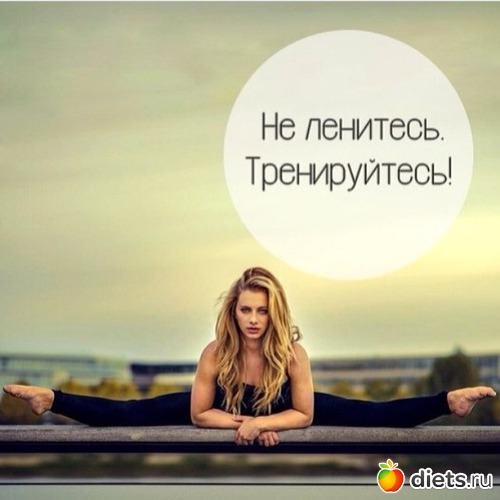 6 ����: ��� ���������