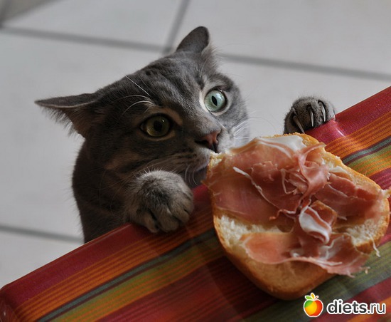 2 ����: ����