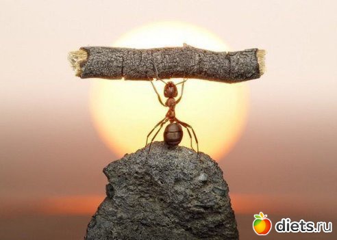 ��������� -�����������-������������ ���)))))