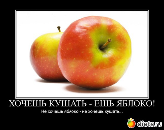 1 ����: ������ ��������))))