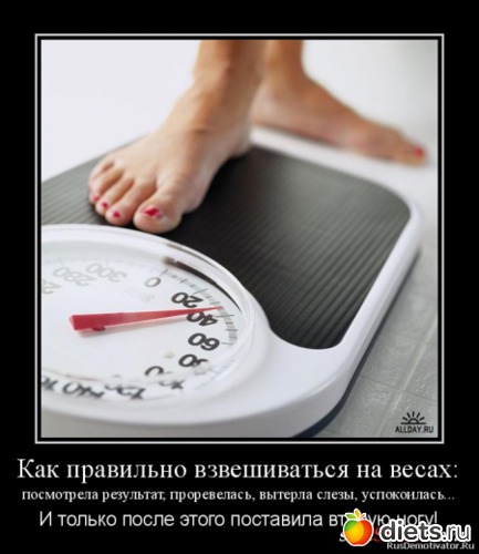 13 ����: ������ ��������))))