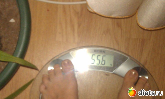1 ����: ������