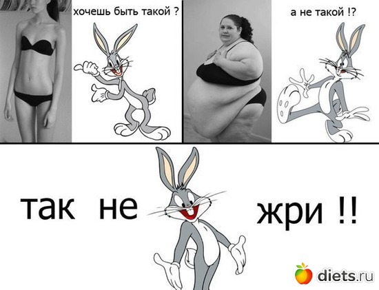 4 ����: ���������