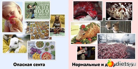 2 фото: У человека выбор есть всегда